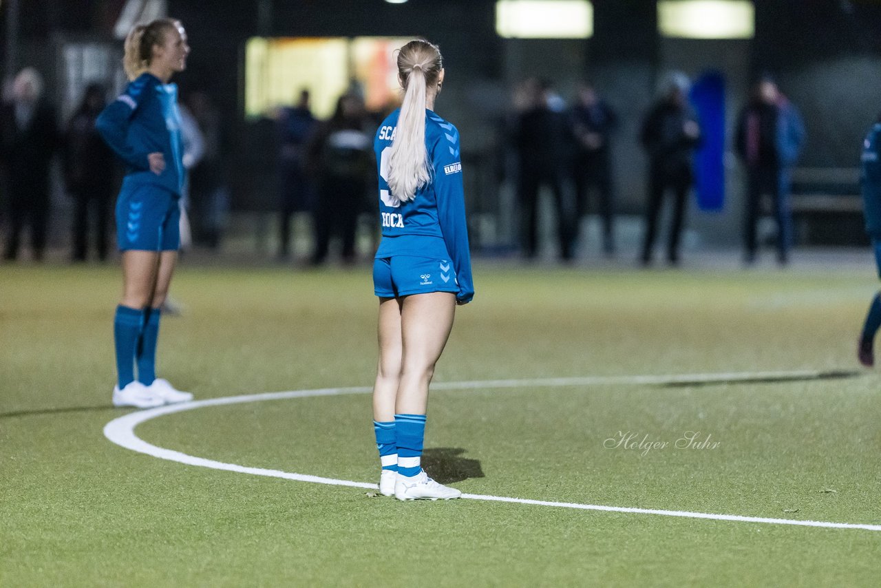 Bild 316 - F SC Alstertal-Langenhorn - Hamburger SV 3 : Ergebnis: 2:2